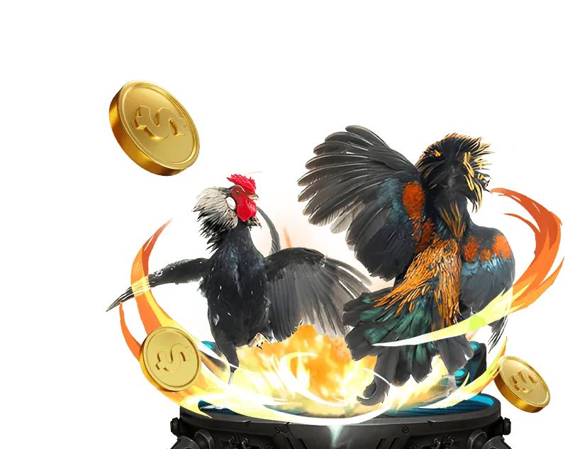 Người chơi nghiên cứu luật chơi và chiến lược dt68